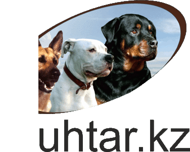 Информационный ресурс muhtar.kz. Все о собаках